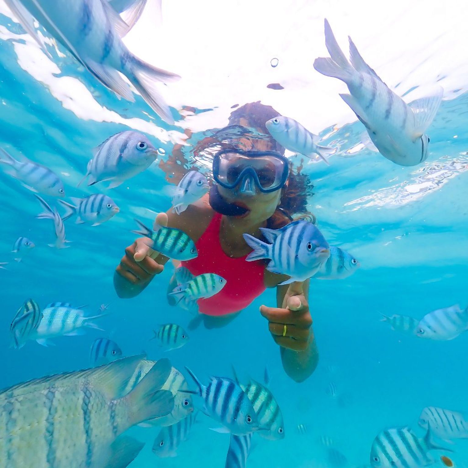snorkeling with fish