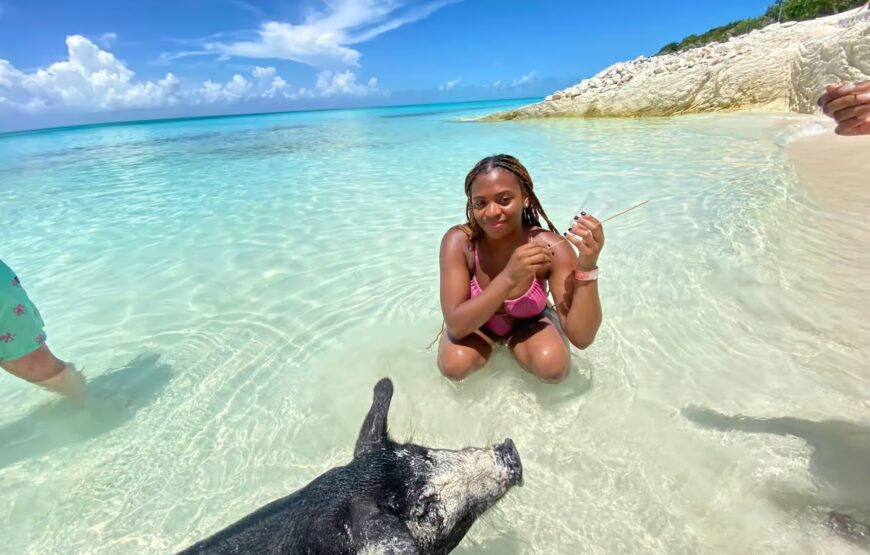 Nassau: 3 Islands Tour, Snorkel, Pig Beach, Turtles & Lunch