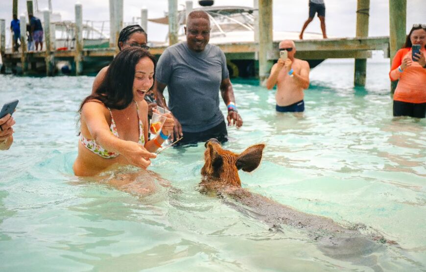 Nassau: Rose Island’s Sand Dollar Beach Resort Activity