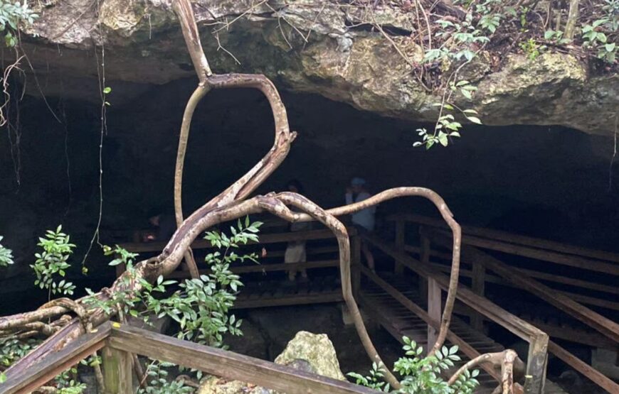 Freeport: Grand Bahama Culture, History & Local Flavors Tour