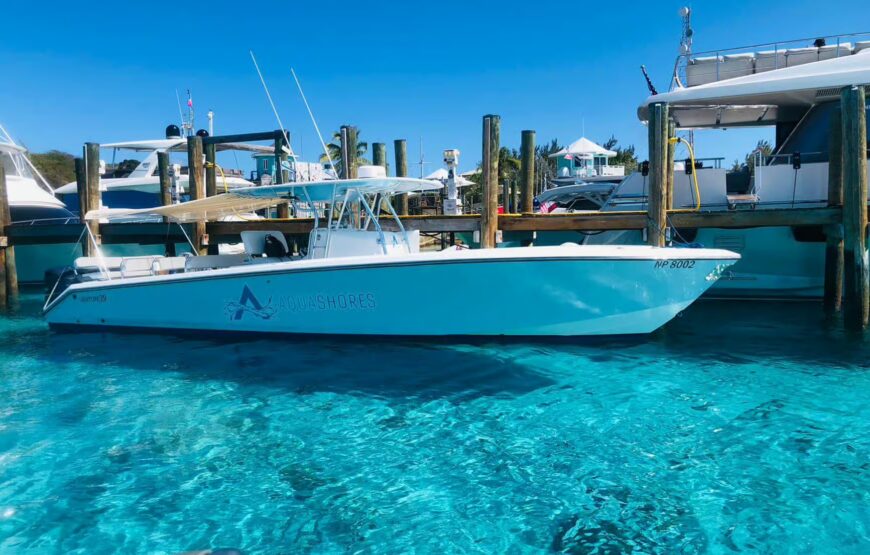 Exuma Powerboat Tour and Pig Beach with Lunch