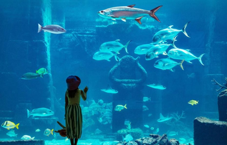 The Royal at Atlantis