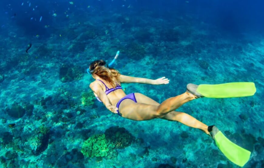 Nassau: Catamaran Sail and Snorkel Tour