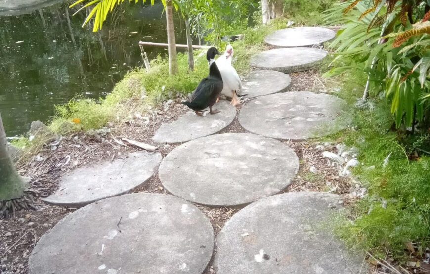 Freeport: Grand Bahama Culture, History & Local Flavors Tour