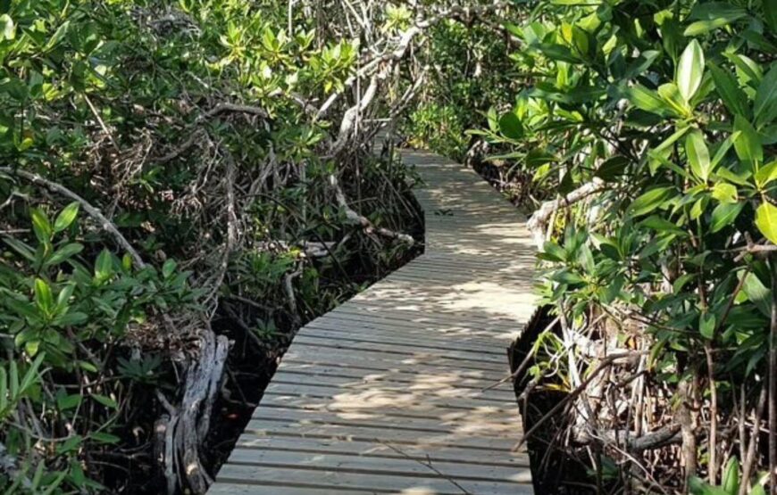 Freeport: Grand Bahama Culture, History & Local Flavors Tour