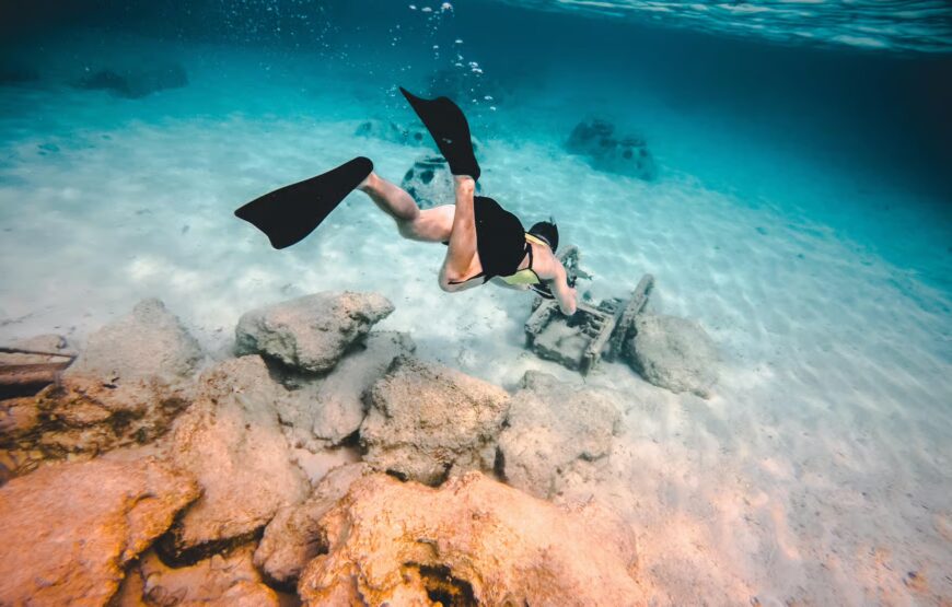 Miami/Fort Lauderdale: Bimini or Freeport Ferry Day Tour