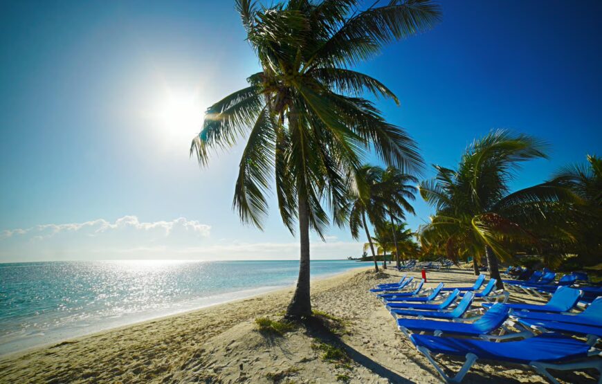 Miami/Fort Lauderdale: Bimini or Freeport Ferry Day Tour