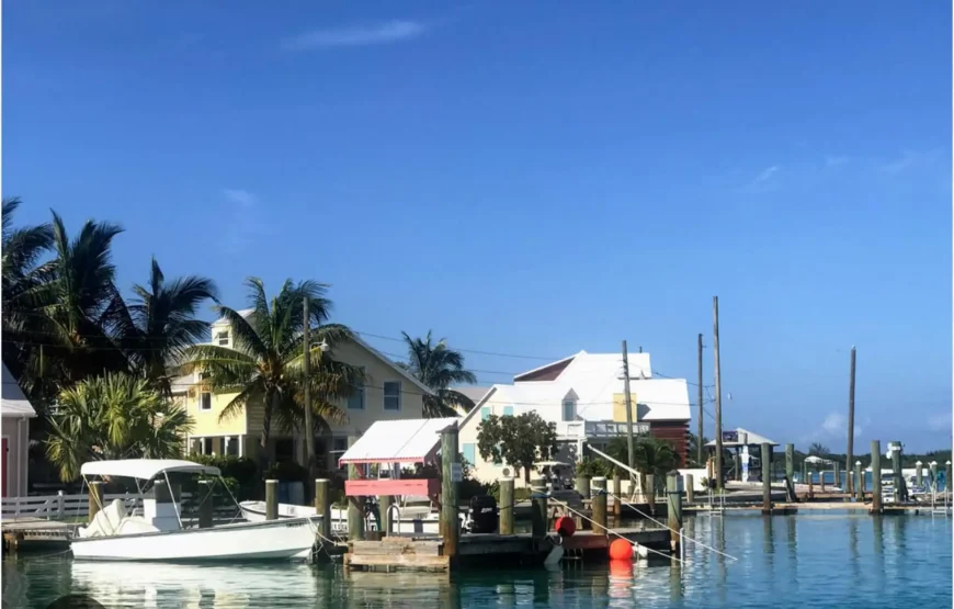 Eleuthera Adventure: Swings, Pigs, and Reefs