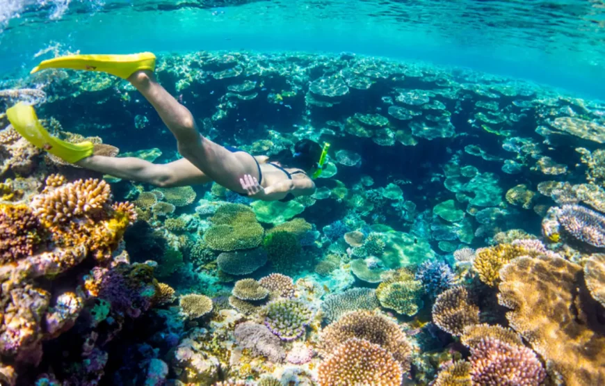 Nassau: Catamaran Sail and Snorkel Tour