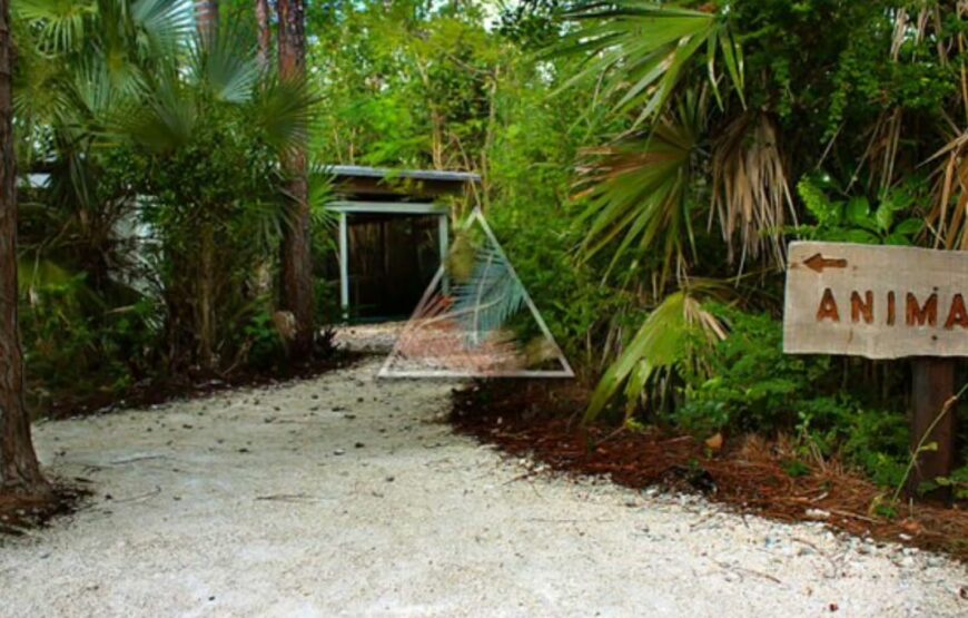 Freeport: Grand Bahama Culture, History & Local Flavors Tour