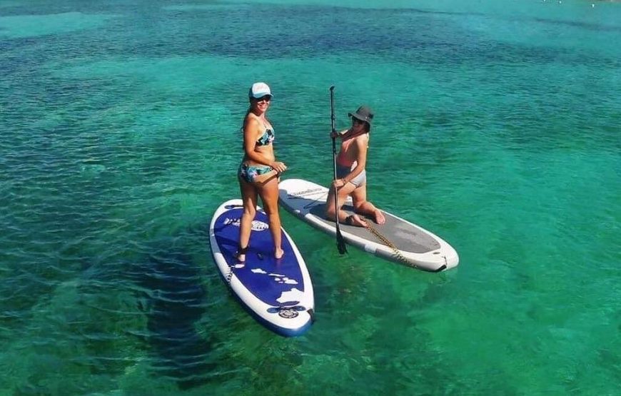 Bimini Charters – Luxury Catamaran Sailing Charters in Maine