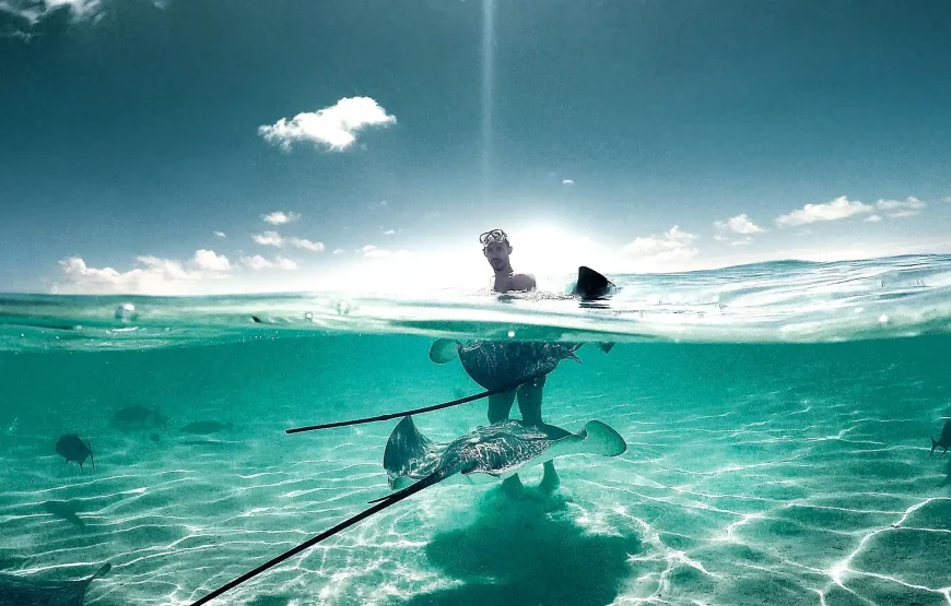 Miami/Fort Lauderdale: Bimini or Freeport Ferry Day Tour