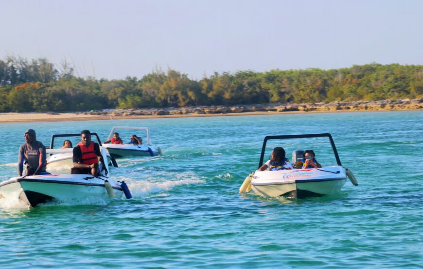 Nassau: Self-Drive Speedboat Ride and Pig Swimming Encounter