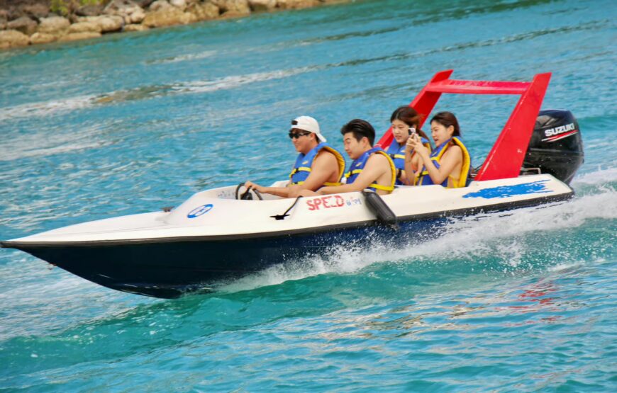 Nassau: Self-Drive Speedboat Ride and Pig Swimming Encounter