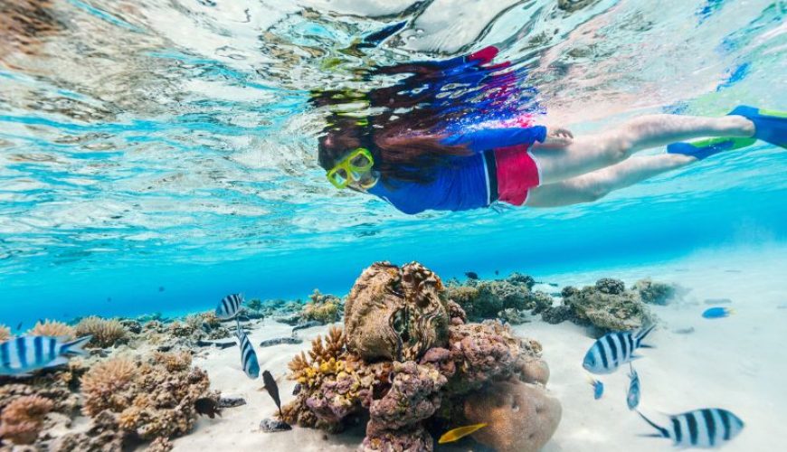 The Ultimate Snorkeling & Scuba Hot-Spots Guide in the Bahamas
