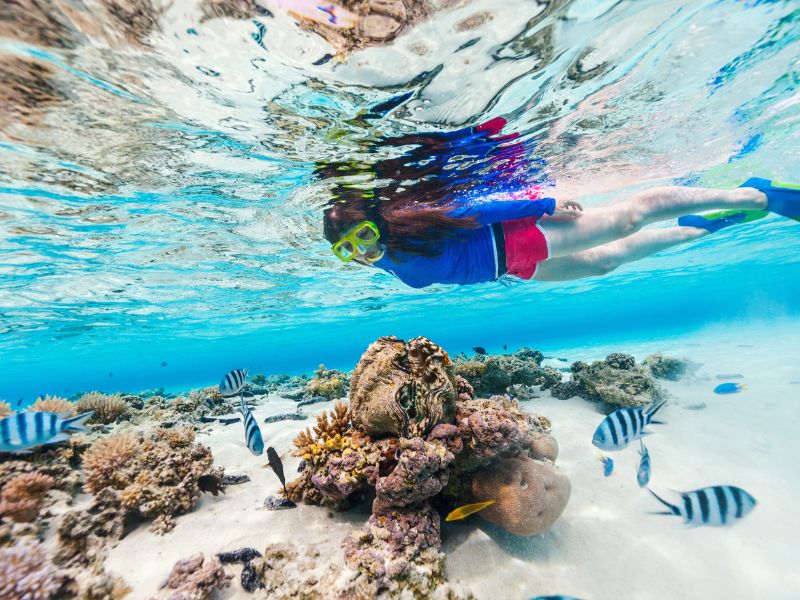 The Ultimate Snorkeling & Scuba Hot-Spots Guide in the Bahamas